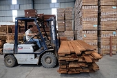 Lo ngại Việt Nam làm điểm trung chuyển cho gỗ Trung Quốc ngày càng cao