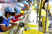 Chủ nghĩa bảo hộ thương mại có thể gây sức ép đối với tăng trưởng của Việt Nam