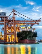 Bản tin TBT Việt Nam số 11 năm 2019