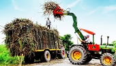 Doanh nghiệp mía đường đang phát “sốt” với ATIGA