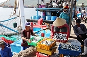 Ngành Thủy sản: Doanh nghiệp và ngư dân phải chủ động nâng tiêu chuẩn của mình lên