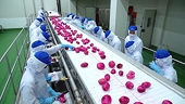 Đặt mục tiêu 5 tỷ USD trong 2020, ngành rau quả có kỳ vọng cao?
