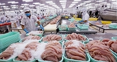 Năm 2020, ngành thủy sản tiếp tục đối mặt nhiều thách thức