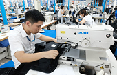 Xuất, nhập khẩu vào thị trường Mỹ và Trung Quốc: Không bỏ trứng vào một giỏ