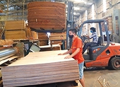Chống lẩn tránh biện pháp phòng vệ thương mại và gian lận xuất xứ: Chuyển biến mạnh mẽ từ Đề án 824