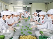 Dịch Corona tác động tiêu cực liên ngành và lan tỏa rộng khắp