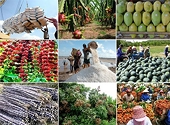 Hiệp định Thương mại tự do Việt Nam - EU: Xúc tiến thương mại chuyên sâu để tận dụng cơ hội