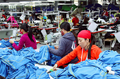  Vì sao xuất khẩu sang các nước CPTPP chưa đạt kỳ vọng?