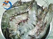 Nhiều cơ hội cho tôm sú sang thị trường châu Âu
