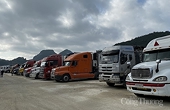 Bộ Công Thương phối hợp hỗ trợ doanh nghiệp gặp khó do dịch bệnh