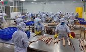 DN thủy sản với EVFTA: Đòi hỏi nghiêm ngặt truy xuất nguồn gốc