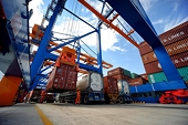 Xuất khẩu gián tiếp: Linh hoạt các giải pháp