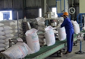 Việt Nam chính thức bỏ hạn ngạch thuế quan nhập khẩu mía đường