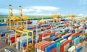 Thông báo tiếp nhận hồ sơ miễn trừ các biện pháp phòng vệ thương mại năm 2020
