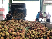 Khơi thông đầu ra cho nông sản