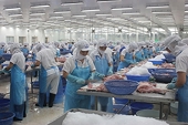 Xuất khẩu thủy sản sẽ khó khăn cho đến nửa đầu năm 2020