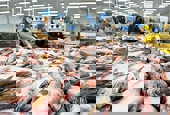 Bộ Thương mại Hoa Kỳ thông báo kết quả chính thức của đợt rà soát thuế chống bán phá giá lần thứ 15 (POR15) đối với cá tra – ba sa của Việt Nam