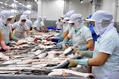 Cá tra, cá basa xuất sang Mỹ được giảm mạnh thuế chống bán phá giá