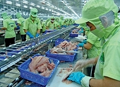 Phòng vệ Thương mại: “Lá chắn” bảo vệ doanh nghiệp