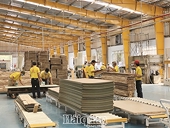Doanh nghiệp nỗ lực thích nghi, đón cơ hội “hậu Covid-19”