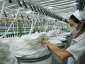 Sợi dài làm từ polyester - Việt Nam điều tra chống bán phá giá (AD10)