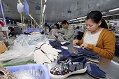 "EVFTA không phải bàn tiệc được dọn sẵn"