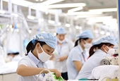 Việt Nam tăng cường chống gian lận xuất xứ hàng hóa