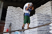 Philippines hủy kế hoạch nhập khẩu 300.000 tấn gạo, bao gồm gạo Việt