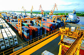 Bản tin TBT Việt Nam số 6 năm 2020