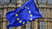 EU cấp hạn ngạch 80.000 tấn gạo/năm cho Việt Nam, xuất khẩu gạo sang EU cần điều kiện gì?