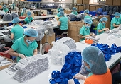 Doanh nghiệp Israel muốn nhập khẩu khẩu trang và đồ bảo hộ y tế từ Việt Nam