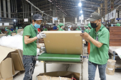 Xuất khẩu gỗ Việt Nam sau EVFTA: Gỗ lậu sẽ bị “từ chối”