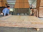 Ngành gỗ: Minh bạch xuất xứ để tránh rủi ro