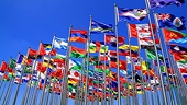 Quy định TBT của các nước thành viên WTO trong bối cảnh Covid-19