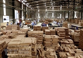 Xuất khẩu gỗ lội ngược dòng khôi phục đà tăng trưởng