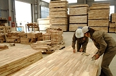 Tổng cục Hải quan kết luận Gỗ ghép thanh xuất khẩu vẫn thuộc nhóm có mức thuế 0%