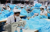Cấp trên 7200 bộ CO mẫu EUR1 sau một tháng EVFTA có hiệu lực