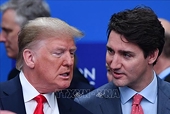 Canada kiên trì “theo đuổi” tranh chấp thương mại về gỗ mềm với Mỹ
