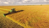 Trung Quốc ngừng nhập khẩu lúa mạch từ công ty CBH Grain của Australia