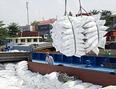 Thúc đẩy xuất khẩu gạo sang châu Phi