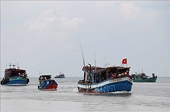Tăng cường xử lý các vi phạm, nỗ lực gỡ 'thẻ vàng' đối với thủy sản Việt Nam