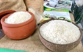 Hạn ngạch ưu đãi thuế quan 80.000 tấn/năm cho gạo Việt xuất sang EU: Ít hay nhiều?