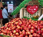 Đẩy mạnh xuất nhập khẩu nông sản Việt Nam - Mỹ