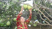 Sản phẩm được bảo hộ Chỉ dẫn địa lý: Nhập làn “cao tốc EVFTA”