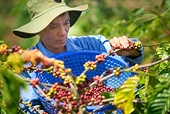 EVFTA tạo lực đẩy tăng xuất khẩu hàng hóa