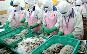 Một tháng sau EVFTA có hiệu lực, xuất khẩu thủy sản sang EU tăng nhẹ