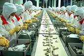 Thực thi các FTA: Doanh nghiệp không thể chủ quan trước các quy định về phòng vệ thương mại