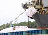Tuân thủ cam kết EVFTA: Cơ hội gia tăng hạn ngạch xuất khẩu gạo vào EU