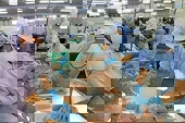 Dự báo kim ngạch xuất khẩu thủy sản sang thị trường EU giảm 20%