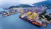 Năm 2020, kim ngạch xuất khẩu có thể tăng trưởng 3 – 4%